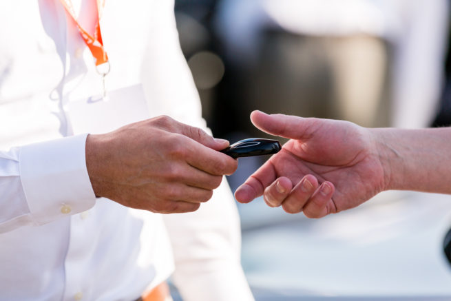 Tesla ophaaldag Leaseplan