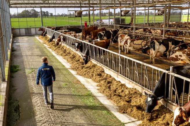 Bedrijfsfotografie voor TamCom